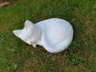 Lieve witte kleine kat ,poes - 2 - Thumbnail