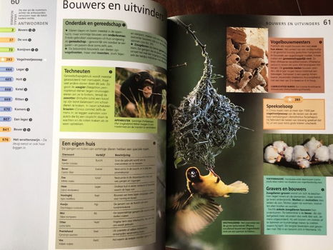 Wie weet het? - De wereld der dieren - 4