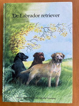 De Labrador Retriever - Elza Gravestein-Schmidt - 0