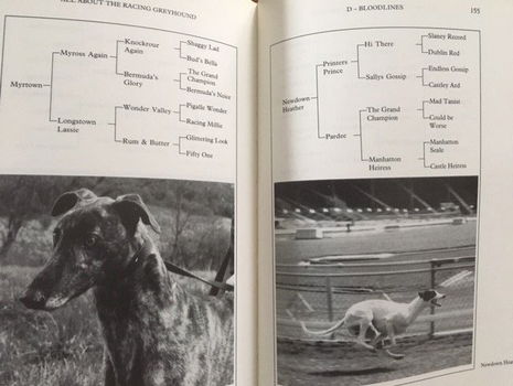 All about the racing greyhound - Barbara Tompkins - 4