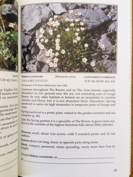 Wild plants of The Burren and the Aran Islands (Ierland) - 2