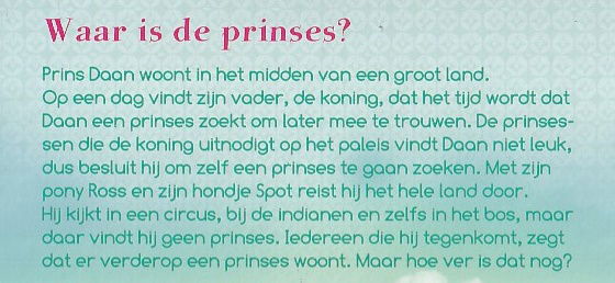 DE PRINSES VAN VER - Samantha Loman - 1