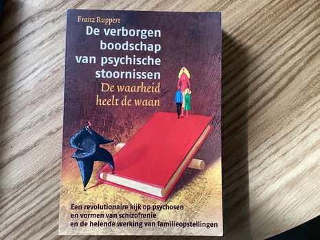 De verborgen boodschap van psychische stoornissen - 0