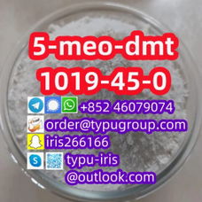 5-meo-dmt cas 1019-45-0 nice price amazing quality T