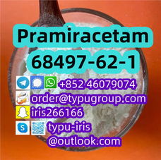 Pramiracetam cas 68497-62-1 Professional Supplier