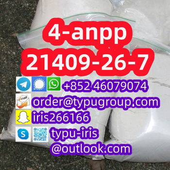 4-anpp cas 21409-26-7 low sale price huge stock - 0