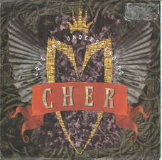 Cher – Love And Understanding (1991)