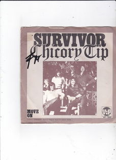 Single Chicory Tip - Survivor