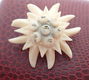 Edelweiss broche van been - 1 - Thumbnail