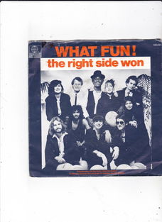 Single What Fun - The right side won