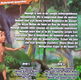 Jungle Book - de tv-serie - 2dvd - Nederlands gesproken - 2 - Thumbnail