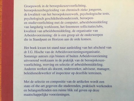 Standpunt en horizon (arbeidsvoorzieningsorganisaties) - 1