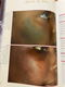 Dermatological atlas of black skin - Connolly, Bikowski - 5 - Thumbnail