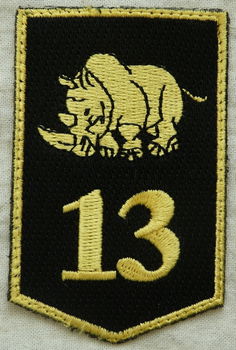 Embleem, Mouw, DT2000, 13 Gemechaniseerde Brigade, KL, vanaf 2000.(Nr.6) - 0