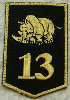 Embleem, Mouw, DT2000, 13 Gemechaniseerde Brigade, KL, vanaf 2000.(Nr.6) - 1