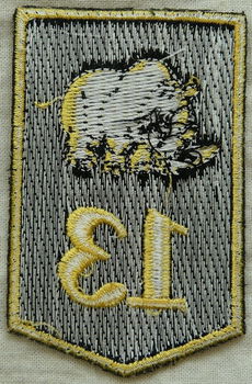 Embleem, Mouw, DT2000, 13 Gemechaniseerde Brigade, KL, vanaf 2000.(Nr.6) - 2