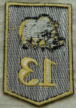 Embleem, Mouw, DT2000, 13 Gemechaniseerde Brigade, KL, vanaf 2000.(Nr.6) - 3