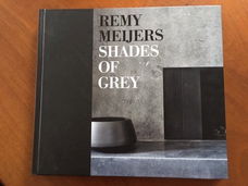 Shades of grey - Remy Meijers