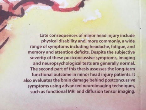 Imaging in Minor Head Injury - Marion Smits - 2