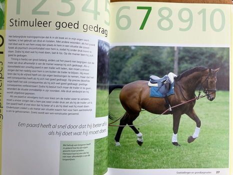 Optimaal paarden trainen - Richard Maxwell - 3