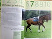 Optimaal paarden trainen - Richard Maxwell - 3 - Thumbnail