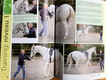 Optimaal paarden trainen - Richard Maxwell - 5 - Thumbnail