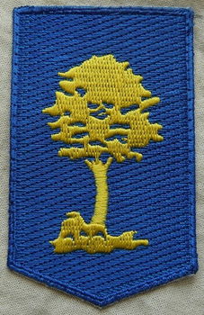 Embleem, Mouw, DT2000, Opleidings- en Trainingscommando, KL, vanaf 2000.(Nr.3) - 1