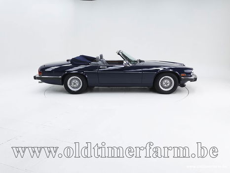 Jaguar XJS V12 Convertible '89 CH5544 - 2