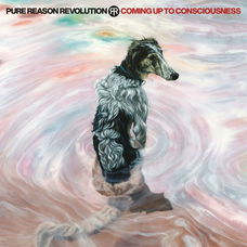 Pure Reason Revolution - Coming Up To Consciousness - CD