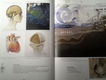 Art directors' index to illustrators 16 - Rotovision - 1 - Thumbnail