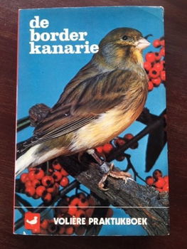 De Borderkanarie - Ernest Howson - 0