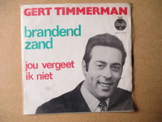 s0595 gert timmerman - brandend zand