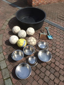 honden plonsbadje, ballen, eetkommen, kakschupjes - 0