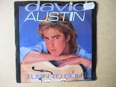 s0735 david austin - turn to gold