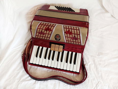 Mooie accordeon - 0