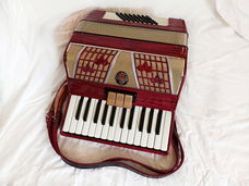 Mooie accordeon