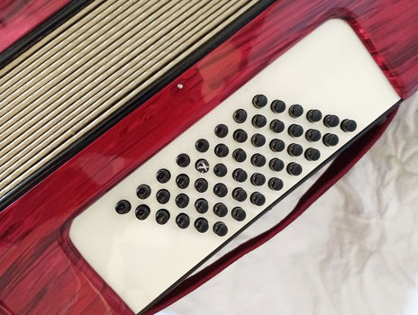 Mooie accordeon - 2