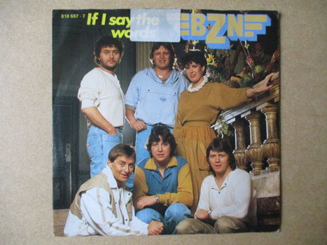 s0878 bzn - if i say the words - 0