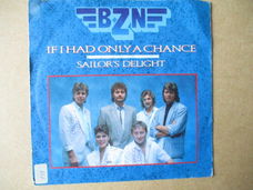 s0883 bzn - if i had only a chance