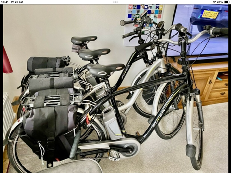 Van Raam Balance Lage Instap Damesfiets + Partij Flyer Elektrische Fietsen in een koop €3750 - 0