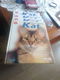 4 delige katten encyclopedie - 0 - Thumbnail