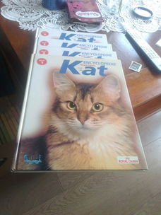 4 delige katten encyclopedie