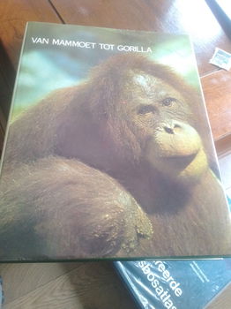 Van mammoet tot Gorilla - 0