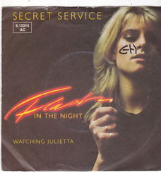 Single Secret Service - Flash in the night