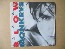 s1107 blow monkeys - it doesnt have to be this way