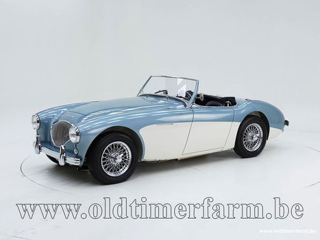 Austin Healey 100/4 BN1 '54 CH4168 - 0