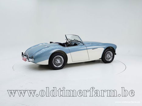 Austin Healey 100/4 BN1 '54 CH4168 - 1