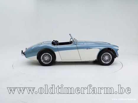 Austin Healey 100/4 BN1 '54 CH4168 - 2