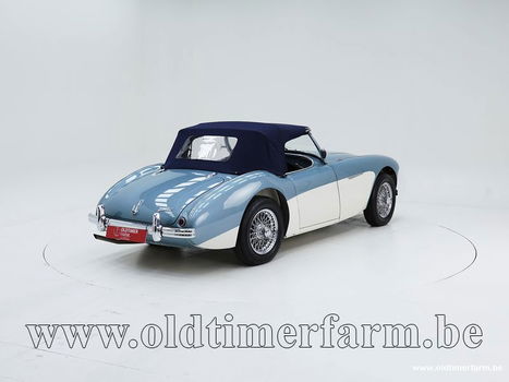 Austin Healey 100/4 BN1 '54 CH4168 - 7