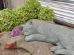 tuinbeeld poes van beton , kat - 0 - Thumbnail